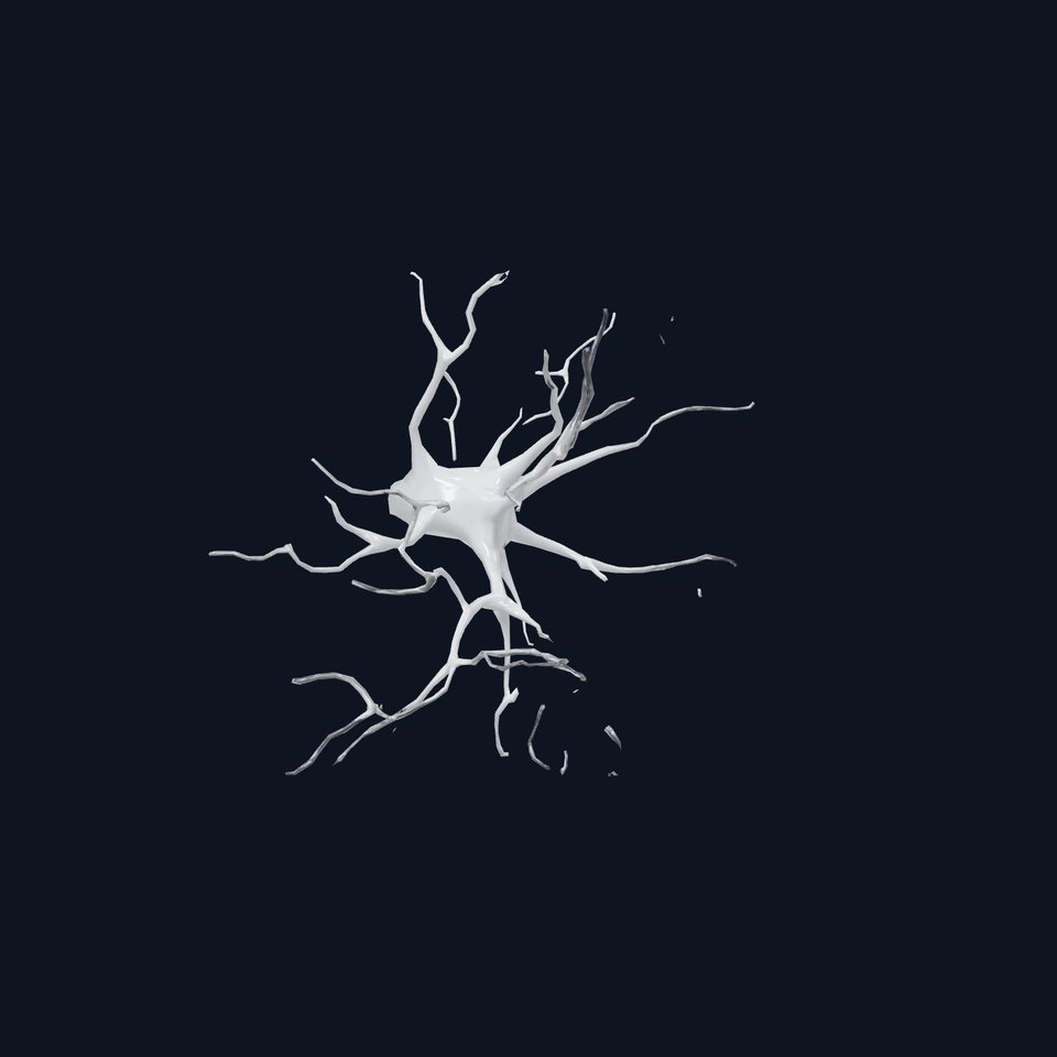 Neuron Network Organic model pack